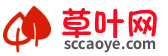 山川草叶