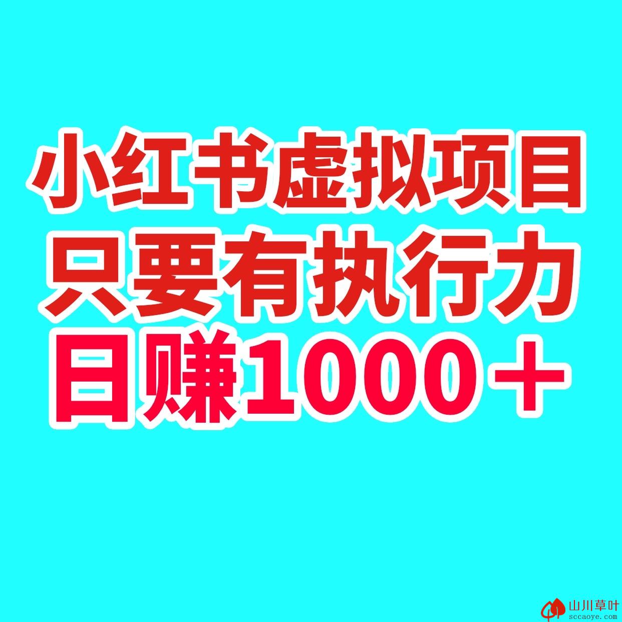 涛哥项目社：小红书虚拟项目日入1000＋只要有执行力