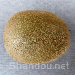 国产奶粉品牌十大排行榜，国产奶粉品牌