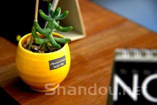 空气净化器加盟哪家好,空气净水器加盟