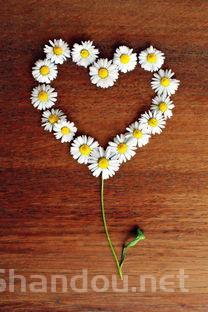 十字绣蒙娜丽莎和ks哪个好,ks十字绣好还是蒙娜丽莎好