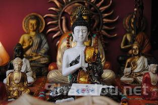 酷圣石为什么退出中囿,酷圣石