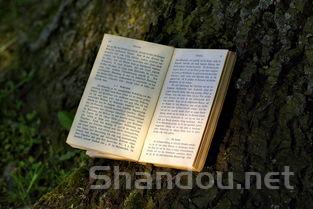 陌上香坊小说网站登录，陌上香坊小说网 小说