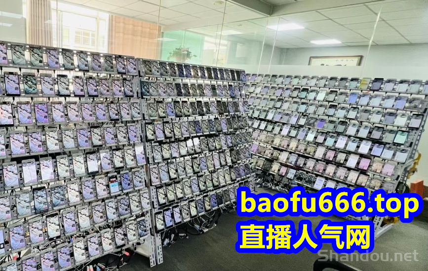 直播自动上人气黑科技抖音粉丝快手视频号小红书点赞自助平台软件下单网址