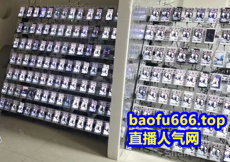 直播带货上榜人气有效粉丝快手小红书视频号点赞软件黑科技辅助自助下单平台网址