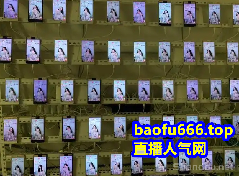 抖音商家直播带货上榜人气互动快手涨粉视频号小红书点赞黑科技网址自助平台app