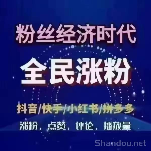 抖音“兵马俑系统”揭秘：风口级副业工具，普通人的流量变现神器！