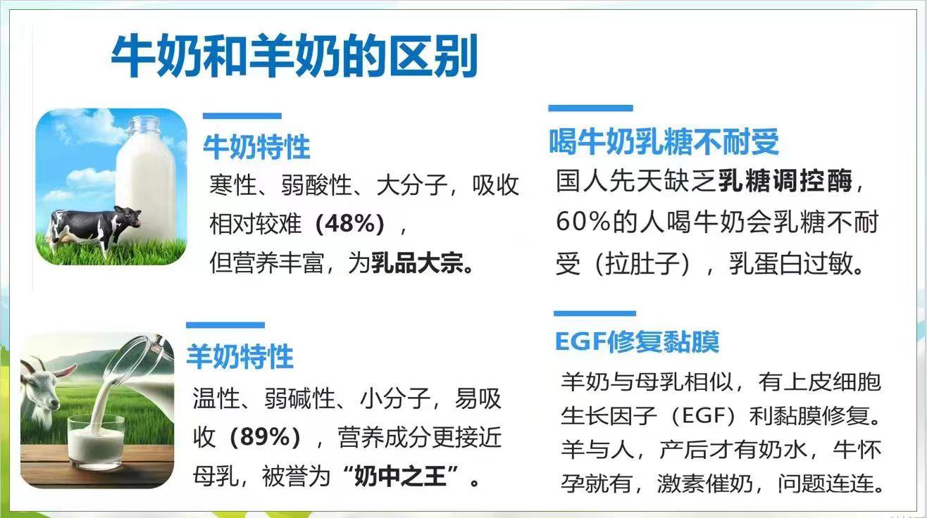 mmexport1754634454710.jpg mmexport1754634454710.jpg