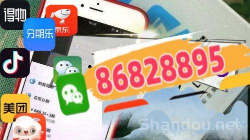 羊小咩额度使用警示与合法变现途径解析