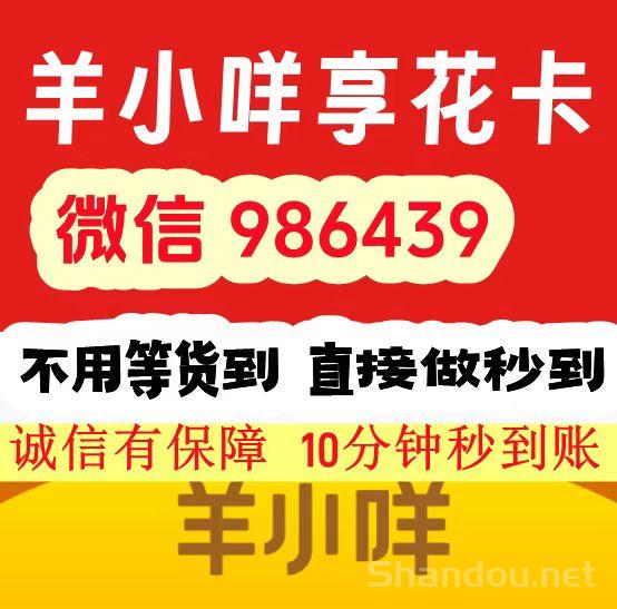 羊小咩便荔卡额度怎么套出来,盘点9个最佳操作方法