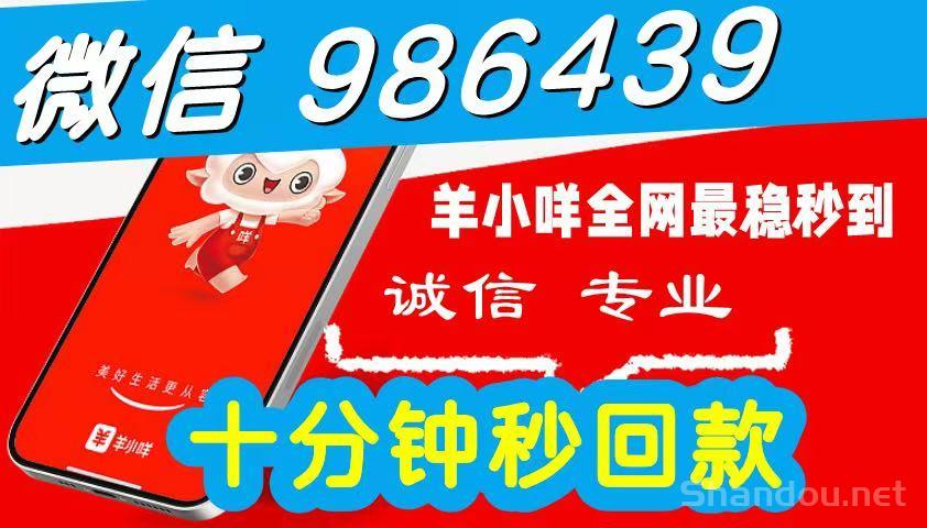 羊小咩便荔卡包购物额度怎么套出来(六种精选方法商家教你)